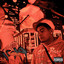 1519 cover