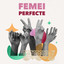 Femei Perfecte cover