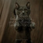 50 Stress Relieving Yoga and Mindfulness, Serenity For Cats cover