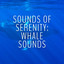 Sounds of Serenity: Whale Sounds cover
