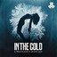 In The Cold - Extended Mix
