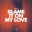 Blame It On My Love - Extended Mix