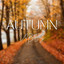 Autumn Vibes cover