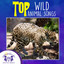 TOP Wild Animal Songs cover