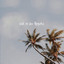 Lost in Los Angeles cover