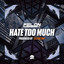 Hate Too Much artwork
