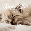 Sleepy Kitten cover