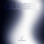 Closer cover