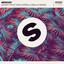 Satisfy (feat. Ron Carroll) - Malaa Extended Remix
