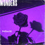 06 - Wonders