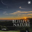 Blissful Nature cover