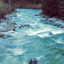 Relaxation: Songbirds by the Stream Vol. 1 cover