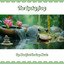 The Lucky Frog