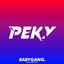 Sound JJ Terkane Peky RMX cover