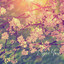 Fall Rain cover