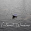Outburst Wonders cover