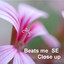Close Up cover