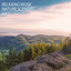 Work Music: Relaxing Nature Meditation Vol. 1 cover