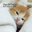 Lazy Cat Cafe: Mellow Lofi for Your Kitten cover