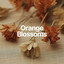 Orange Blossoms
