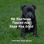 50 Soothing Tracks for Yoga For Dogs cover