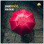Shane Rehcas - Rain on Me