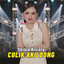 Culik Aku Dong cover