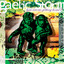 Gaelic Storm - Punjab Paddy