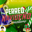 Perreo Navideño (Brasilero) cover