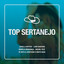 Top Sertanejo (Ao Vivo) cover