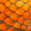 FISH FM - FISHFM HYPE