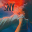 Sny