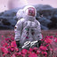 27 artwork