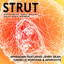 Strut feat. Aphrodite feat. Danielle Montana - Dub Remix