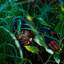 Nkoowola cover