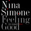 Nina Simone - Feeling Good (Chris Avantgarde Remix)