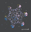 Mathys Lenne — A Gentle Singularity cover art