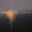 Solace (A Lyric Concerto): I. Joy cover