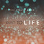 Adoption Story (Thank You, Jesus) cover