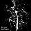 Space Between feat. Deniz Reno - Extended Mix