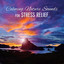 Calming Nature Sounds for Stress Relief – Soothing New Age Sounds, Music to Calm Down, Water Sounds, Singing Birds cover