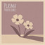 Phish 10.09.26 - Plasma