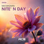 Nite' N Day