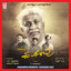 Anandamaya cover