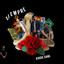 Siempre cover
