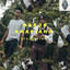 AFROLEKTRA — Baajo - Amapiano Remix cover art