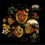 Unknown Title cover