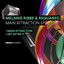 Main Attraction