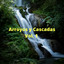 Arroyos y Cascadas Vol. 1 cover