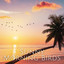Sunny Morning Birds cover